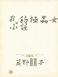 我的极品女老师小说