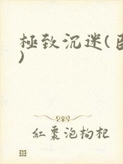 极致沉迷(臣年)