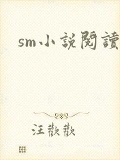 sm小说阅读封面