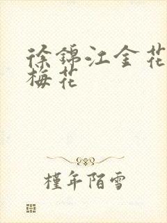 徐锦江金花瓶楷梅花封面