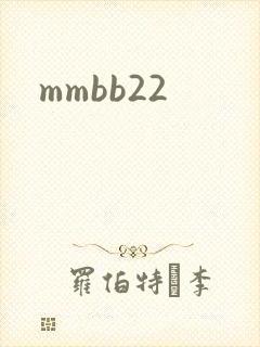 mmbb22封面