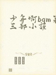 少年啊bgm第三部小说