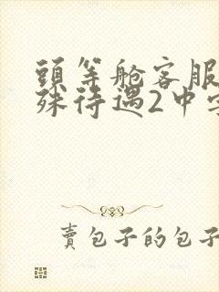 头等舱客服的特殊待遇2中字