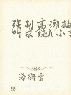 强制高潮抽搐哭叫求饶h小说