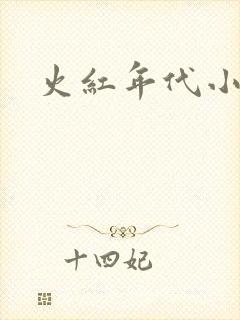 火红年代小说封面