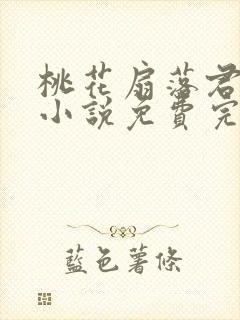 桃花扇落君不还小说免费完整版