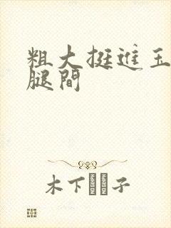 粗大挺进玉芬双腿间