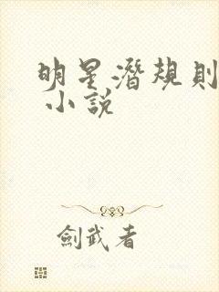 明星潜规则之皇 小说