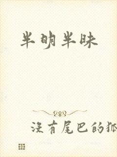 半明半昧