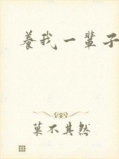 养我一辈子封面