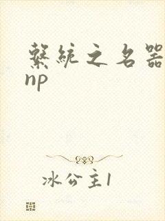 系统之名器攻略np封面