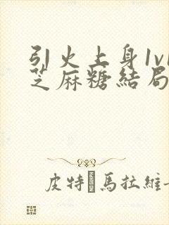 引火上身1v1芝麻糖结局