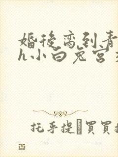 婚后脔到青梅哭h小白兔宫交h