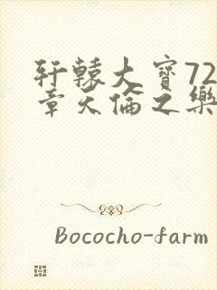 轩辕大宝720章天伦之乐