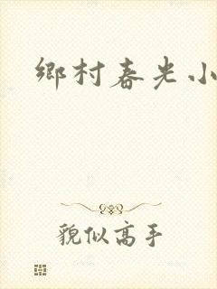 乡村春光小说