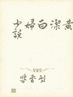 少妇白洁黄色小说