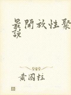 最开放性聚会小说