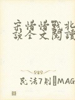 宋惜惜战北望小说全文阅读