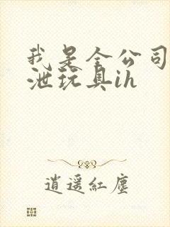 我是全公司的发泄玩具ih