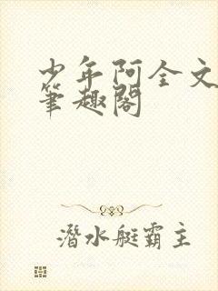 少年阿全文免费笔趣阁封面