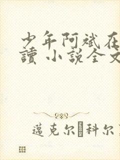 少年阿斌在线阅读 小说全文免费
