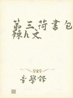 第三荷书包网高辣h文