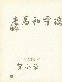 老马和霍瑶瑶喝醉