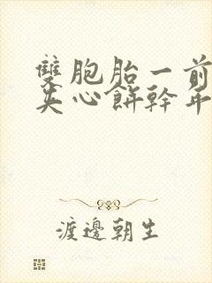 双胞胎一前一后夹心饼干年下封面