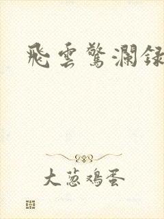飞云惊澜录
