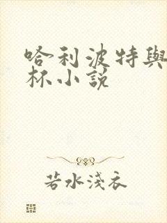 哈利波特与火焰杯小说封面