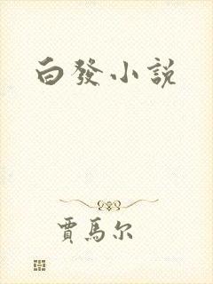 白发小说封面