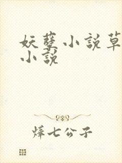 妖孽小说草莓酱小说