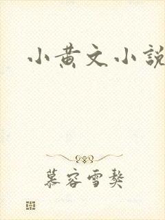 小黄文小说