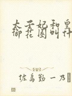 太子妃和皇帝在御花园叫什么小说