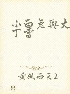 小白兔与大灰狼丁当