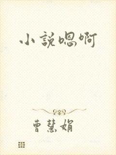小说嗯啊封面