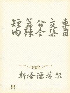 短篇公交车高h肉辣全集目录封面