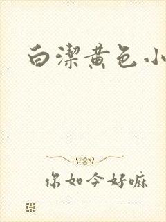 白洁黄色小说