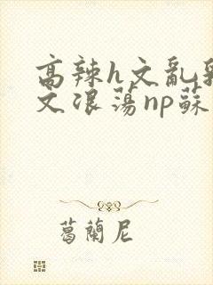 高辣h文乱乳h文浪荡np苏夏