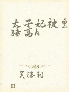 太子妃被皇上强睡高h封面