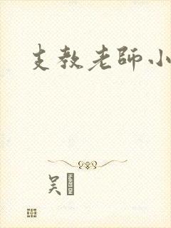 支教老师小说封面