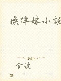 操伴娘小说封面