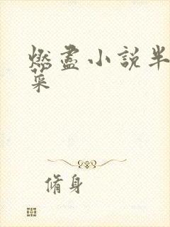 燃尽小说半截白菜