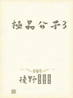 极品公子3