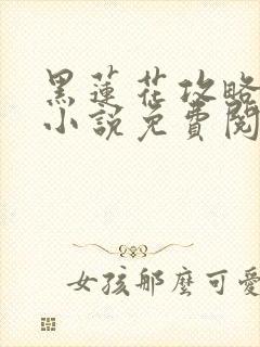 黑莲花攻略手册小说免费阅读全文封面