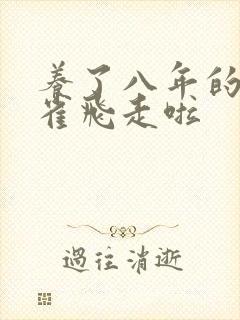 养了八年的金丝雀飞走啦