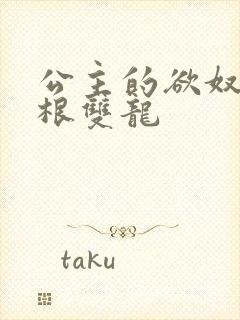 公主的欲奴h四根双龙