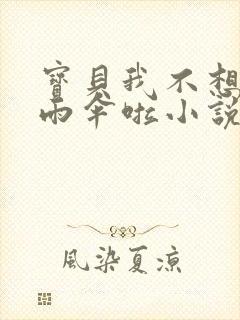 宝贝我不想带小雨伞啦小说