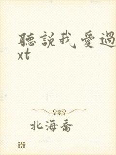 听说我爱过你txt