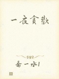 一夜贪欢